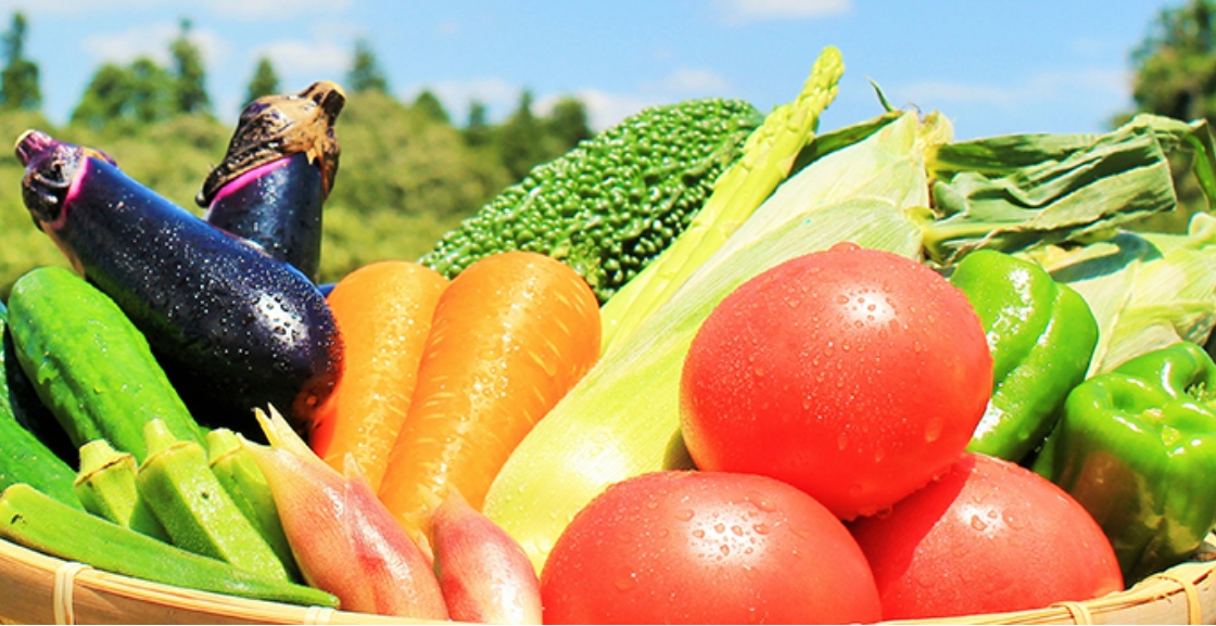 新鮮な野菜